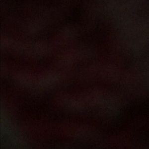 Meet your Posher, Noe